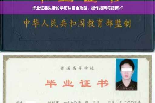 毕业证丢失后的学历认证全攻略，操作指南与指南?✨