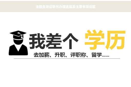 法院生效证明书办理流程及注意事项详解