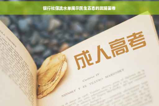 银行社保流水单揭示民生百态的斑斓画卷