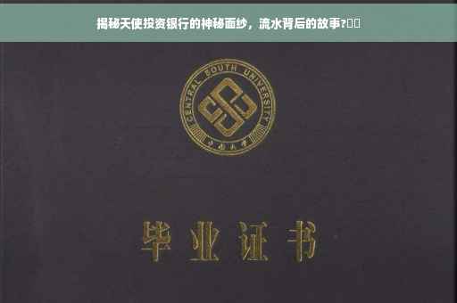 揭秘天使投资银行的神秘面纱,流水背后的故事?⚡️ 揭秘天使投资银行的神秘面纱,流水背后的故事?⚡️
