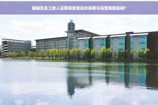 揭秘无员工收入证明现象背后的真相与运营真相探秘?