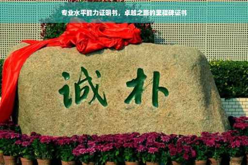 专业水平能力证明书，卓越之路的里程碑证书