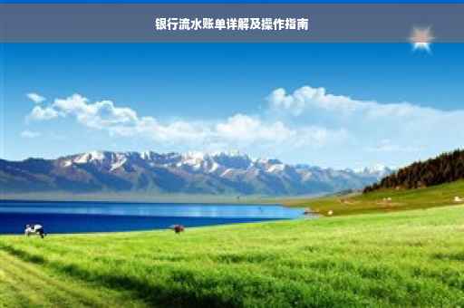 银行流水账单详解及操作指南