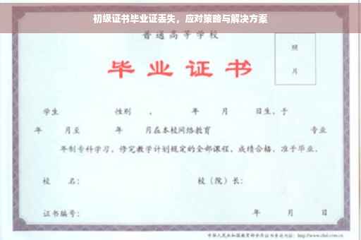 初级证书毕业证丢失，应对策略与解决方案