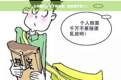 北京银行流水下载指南，全攻略分享?⚡️
