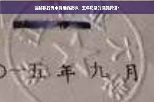 揭秘银行流水背后的故事，五年记录的深度解读?