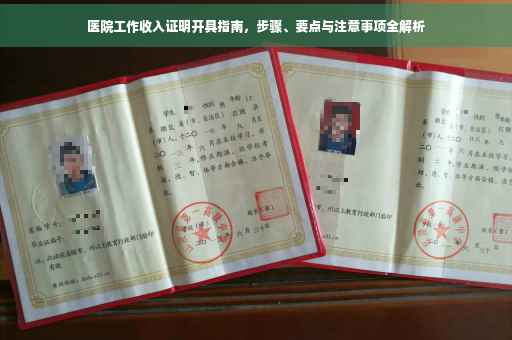 医院工作收入证明开具指南，步骤、要点与注意事项全解析