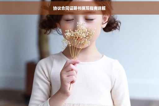 协议合同证明书撰写指南详解