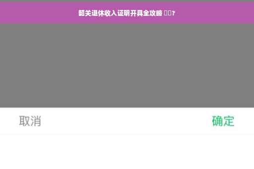 韶关退休收入证明开具全攻略 ⚡️?