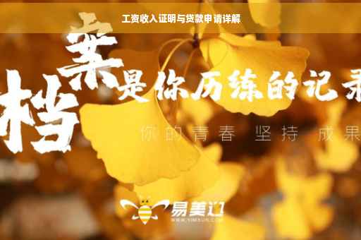 工资收入证明与贷款申请详解