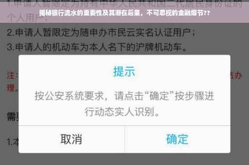 揭秘银行流水的重要性及其潜在后果，不可忽视的金融细节??