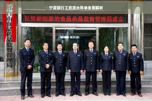 宁夏银行工资流水账单全面解析