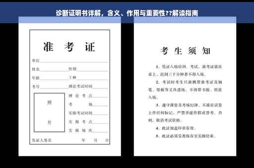 诊断证明书详解，含义、作用与重要性??解读指南