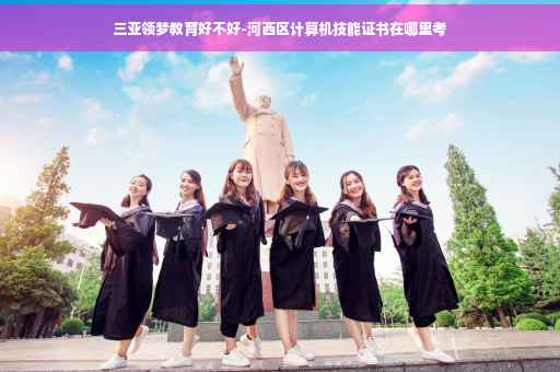 三亚领梦教育好不好-河西区计算机技能证书在哪里考