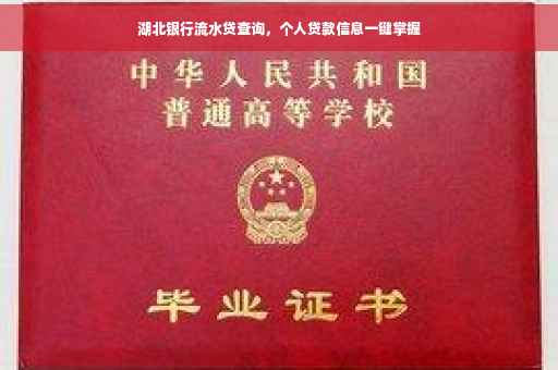 湖北银行流水贷查询,个人贷款信息一键掌握 湖北银行流水贷查询,个人贷款信息一键掌握
