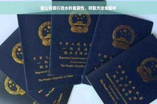 新公司银行流水的重要性、获取方法全解析