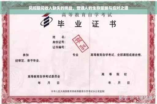 风控期间收入缺失的挑战，普通人的生存策略与应对之道