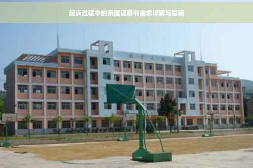 起诉过程中的亲属证明书需求详解与指南