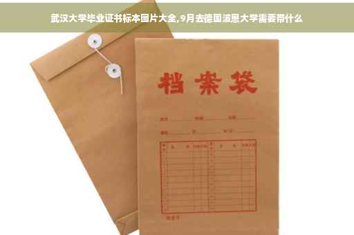 武汉大学毕业证书标本图片大全,9月去德国波恩大学需要带什么