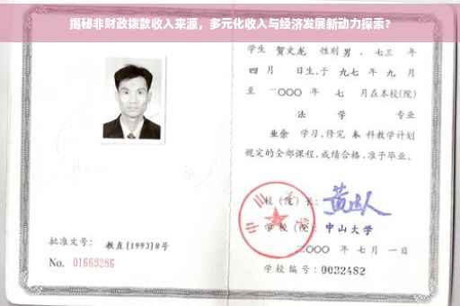 揭秘非财政拨款收入来源，多元化收入与经济发展新动力探索?