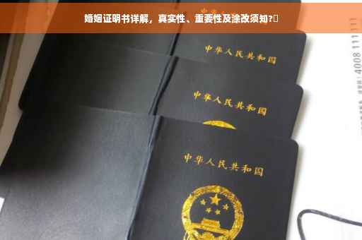 婚姻证明书详解，真实性、重要性及涂改须知?✨