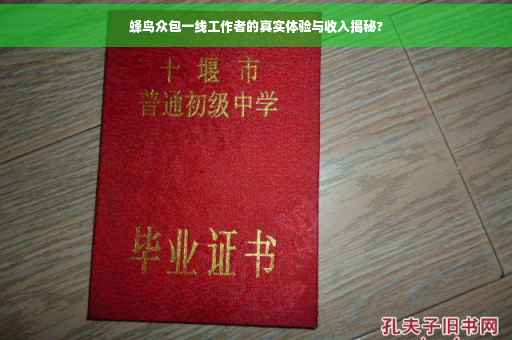 蜂鸟众包一线工作者的真实体验与收入揭秘?