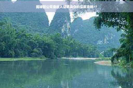 揭秘新公司查收入证明真伪的深度攻略??