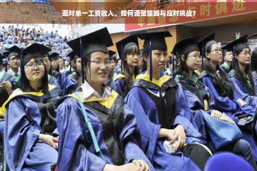 面对单一工资收入，如何调整策略与应对挑战？