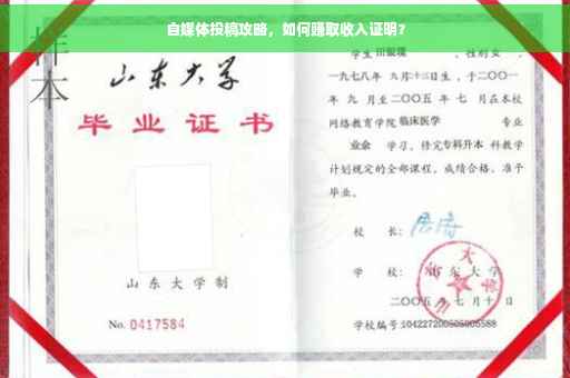 自媒体投稿攻略，如何赚取收入证明？