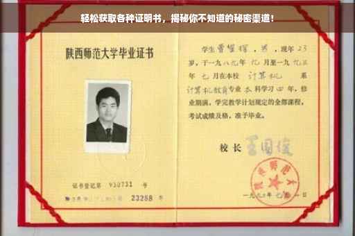 轻松获取各种证明书，揭秘你不知道的秘密渠道！