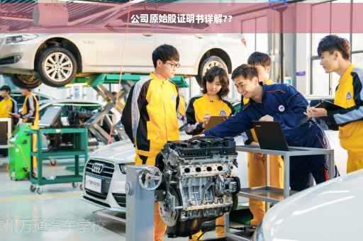 公司原始股证明书详解??