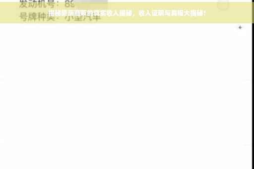 揭秘果蔬商贩的真实收入揭秘，收入证明与真相大揭秘！
