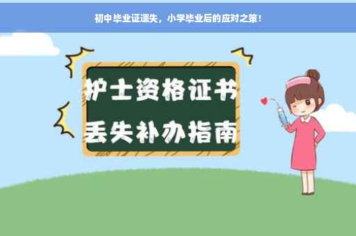 初中毕业证遗失，小学毕业后的应对之策！
