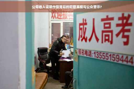 公司收入证明作假背后的犯罪真相与公众警示?