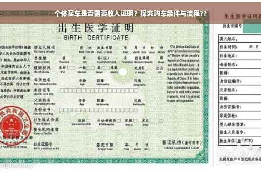 个体买车是否需要收入证明？探究购车条件与流程??