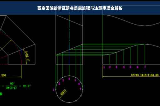 西京医院诊断证明书盖章流程与注意事项全解析