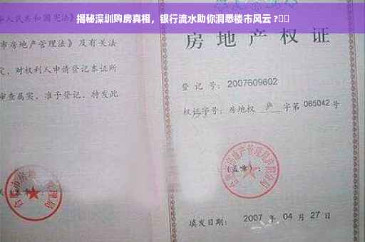 揭秘深圳购房真相，银行流水助你洞悉楼市风云 ?⚡️