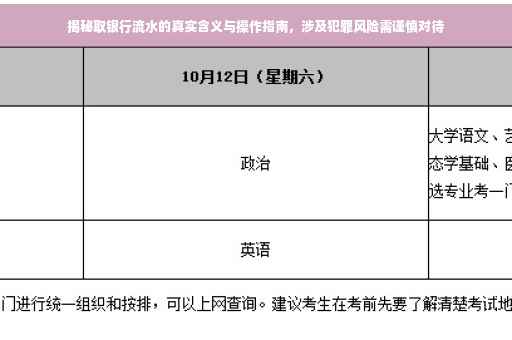 揭秘取银行流水的真实含义与操作指南，涉及犯罪风险需谨慎对待