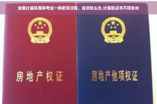 全国计算机等级考试一级都没过啊，应该怎么办,计算机证书不同省份