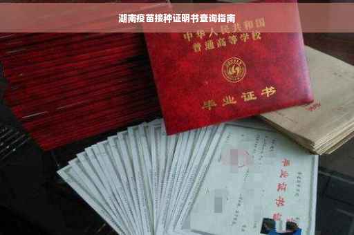 湖南疫苗接种证明书查询指南