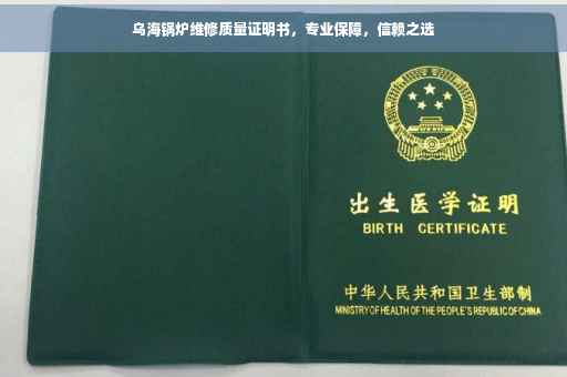 乌海锅炉维修质量证明书，专业保障，信赖之选
