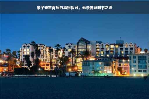 亲子鉴定背后的真相探寻，无亲属证明书之路