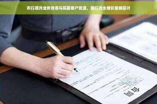 农行提升业务效率与拓展客户资源,银行流水增长策略探讨 农行提升业务效率与拓展客户资源,银行流水增长策略探讨