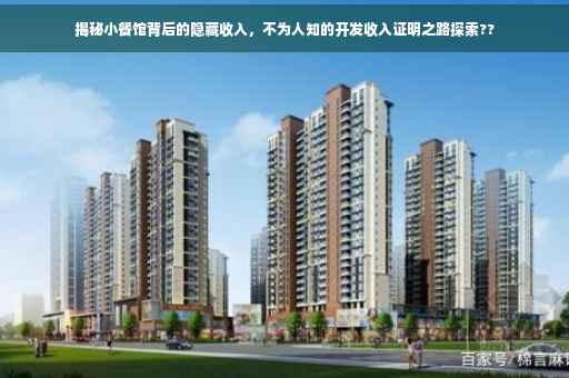 揭秘小餐馆背后的隐藏收入，不为人知的开发收入证明之路探索??