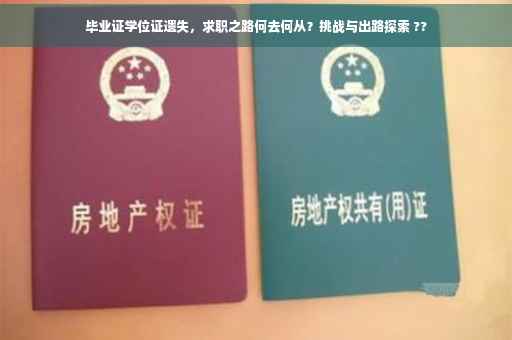 毕业证学位证遗失，求职之路何去何从？挑战与出路探索 ??