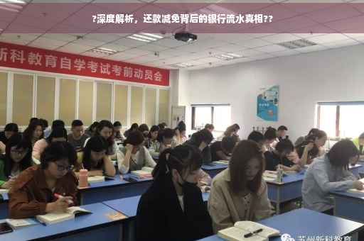 ?深度解析，还款减免背后的银行流水真相??