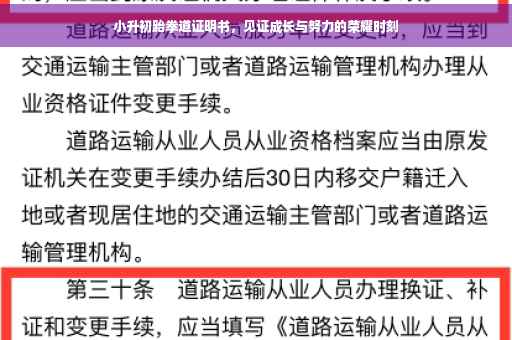 小升初跆拳道证明书，见证成长与努力的荣耀时刻