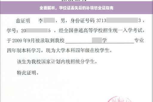 全面解析，学位证丢失后的补领毕业证指南