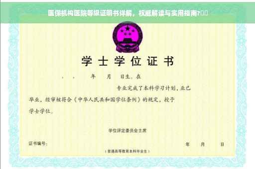 医保机构医院等级证明书详解，权威解读与实用指南?⚡️