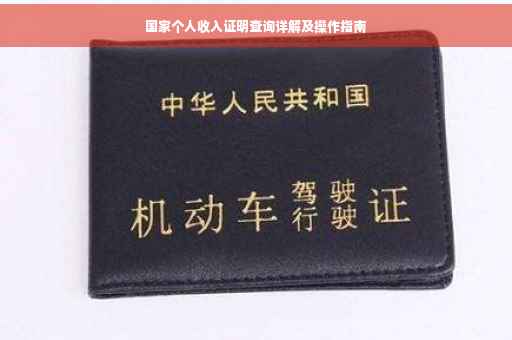 国家个人收入证明查询详解及操作指南